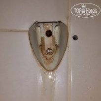 фото из отзыва ID 860833