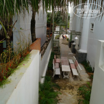 фото из отзыва ID 860524