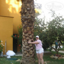 фото из отзыва ID 86091