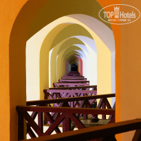 фото из отзыва ID 861066