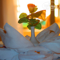 фото из отзыва ID 861066