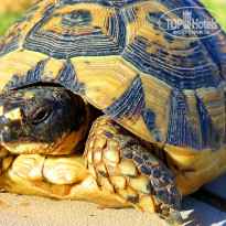 фото из отзыва ID 861066