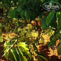 фото из отзыва ID 861222