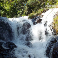 фото из отзыва ID 861222