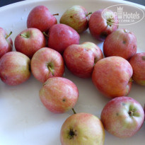 фото из отзыва ID 861314