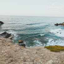 фото из отзыва ID 861269