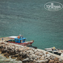 фото из отзыва ID 861269