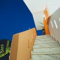 фото из отзыва ID 861269