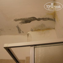 фото из отзыва ID 861433