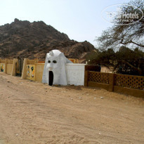 фото из отзыва ID 861546