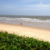 фото из отзыва ID 861596