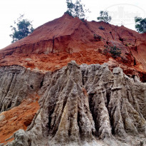 фото из отзыва ID 861596