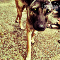 фото из отзыва ID 861596