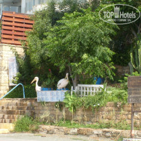 фото из отзыва ID 861829