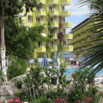 фото из отзыва ID 86181