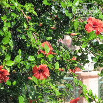 фото из отзыва ID 86181