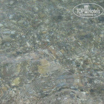 фото из отзыва ID 86181