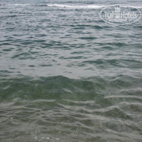 фото из отзыва ID 86181