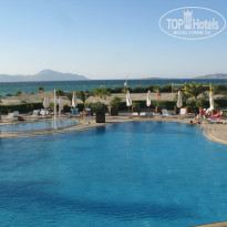 фото из отзыва ID 862099