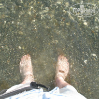 фото из отзыва ID 862207