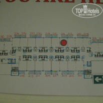 фото из отзыва ID 862207