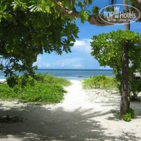 фото из отзыва ID 862317