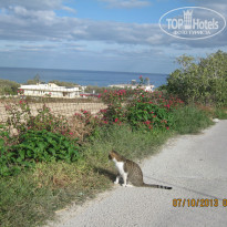 фото из отзыва ID 862406