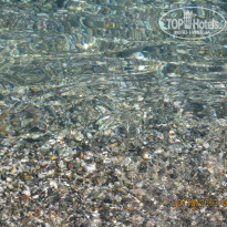 фото из отзыва ID 862406