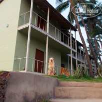 фото из отзыва ID 862564