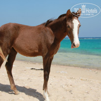 фото из отзыва ID 862868