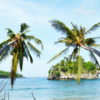 фото из отзыва ID 862911