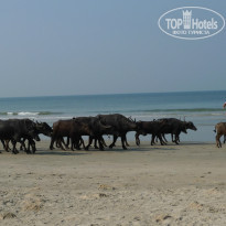 фото из отзыва ID 862250