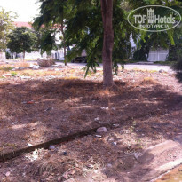 фото из отзыва ID 863069