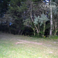 фото из отзыва ID 863104