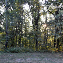 фото из отзыва ID 863104