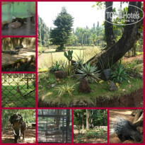 фото из отзыва ID 863149