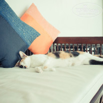 фото из отзыва ID 863210