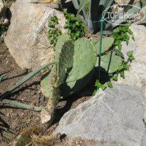 фото из отзыва ID 863271