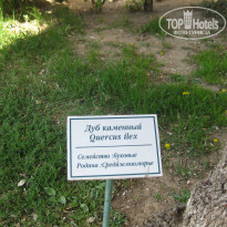 фото из отзыва ID 863271