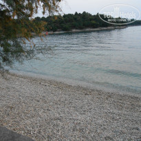 фото из отзыва ID 863341