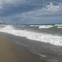 фото из отзыва ID 863375