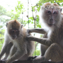 фото из отзыва ID 863425