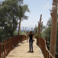 фото из отзыва ID 863492