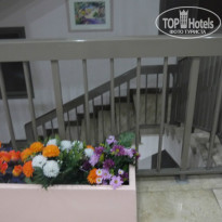 фото из отзыва ID 863499