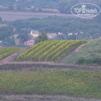 фото из отзыва ID 863821