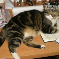 фото из отзыва ID 863891