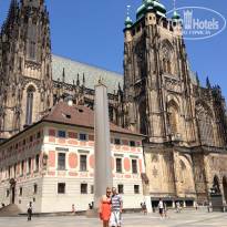 фото из отзыва ID 863891