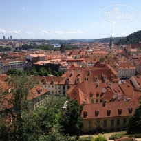 фото из отзыва ID 863891