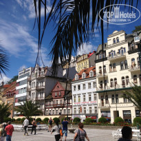 фото из отзыва ID 863891