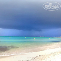 фото из отзыва ID 863947